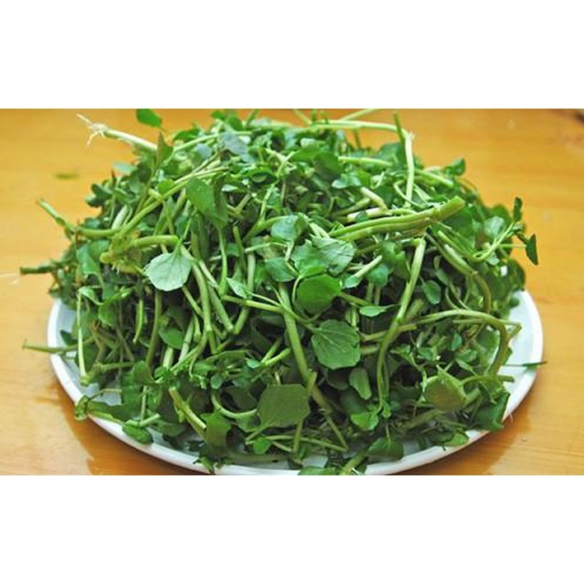 Hạt giống xà lách xoong