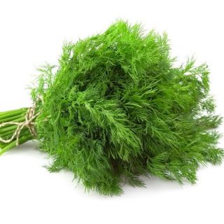 Hạt giống rau Thì Là gói 5GR RADO cao cấp dành cho gia đình, dễ chăm sóc, năng suất cao