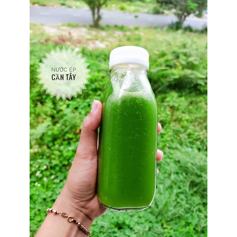 Cây cần tây sống nguyên chất ❤️ LOẠI VIP❤️ 1kg