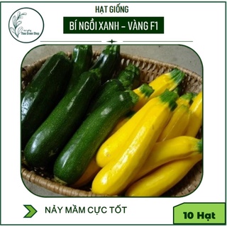 Hạt giống bí ngòi F1 siêu to