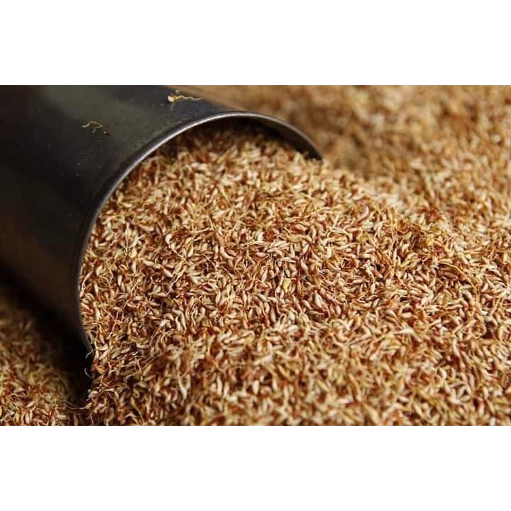 Hạt Mác Púp Cao Bằng   -