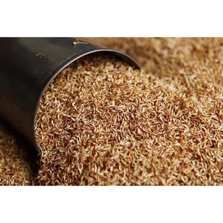 Hạt Mác Púp Cao Bằng (Thạch Aiyu)  - (500g - Kèm túi lọc)