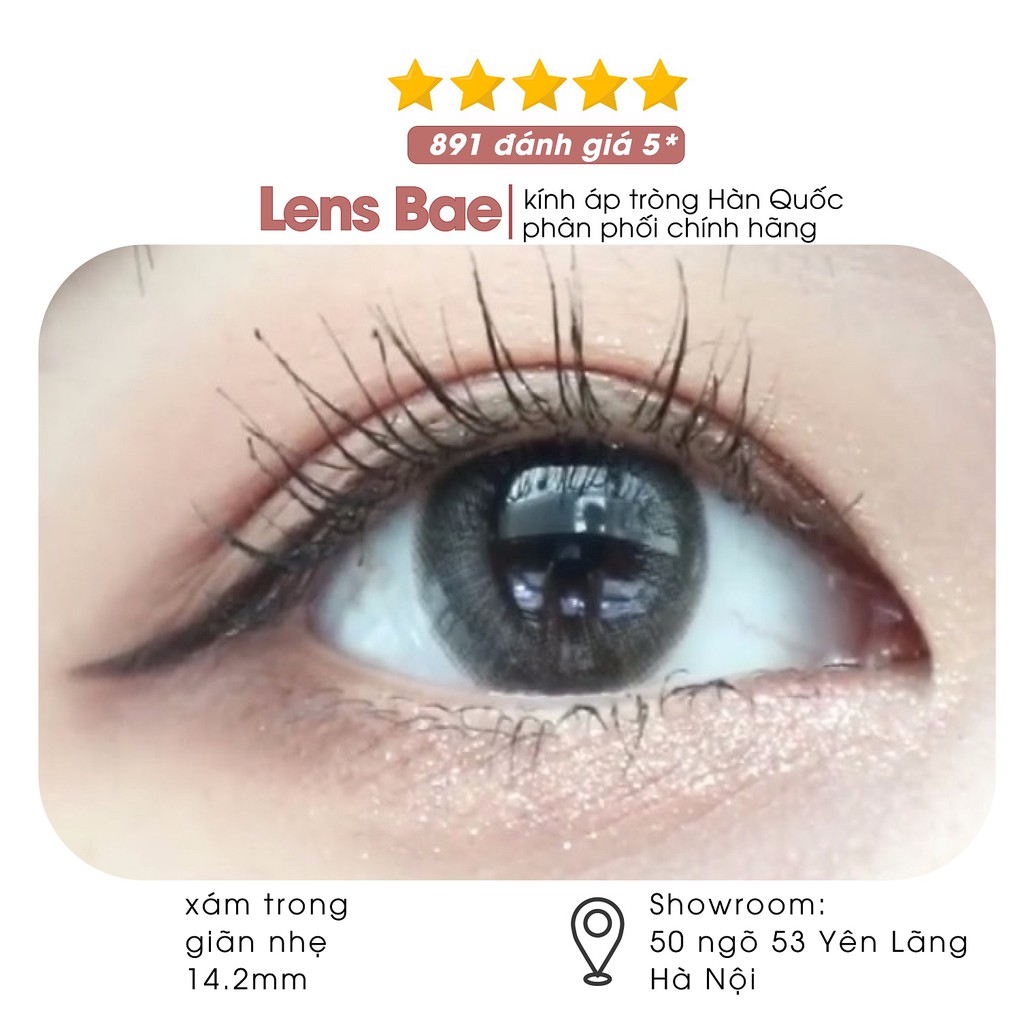 Xả hàng Lens Vassen Bee Gray