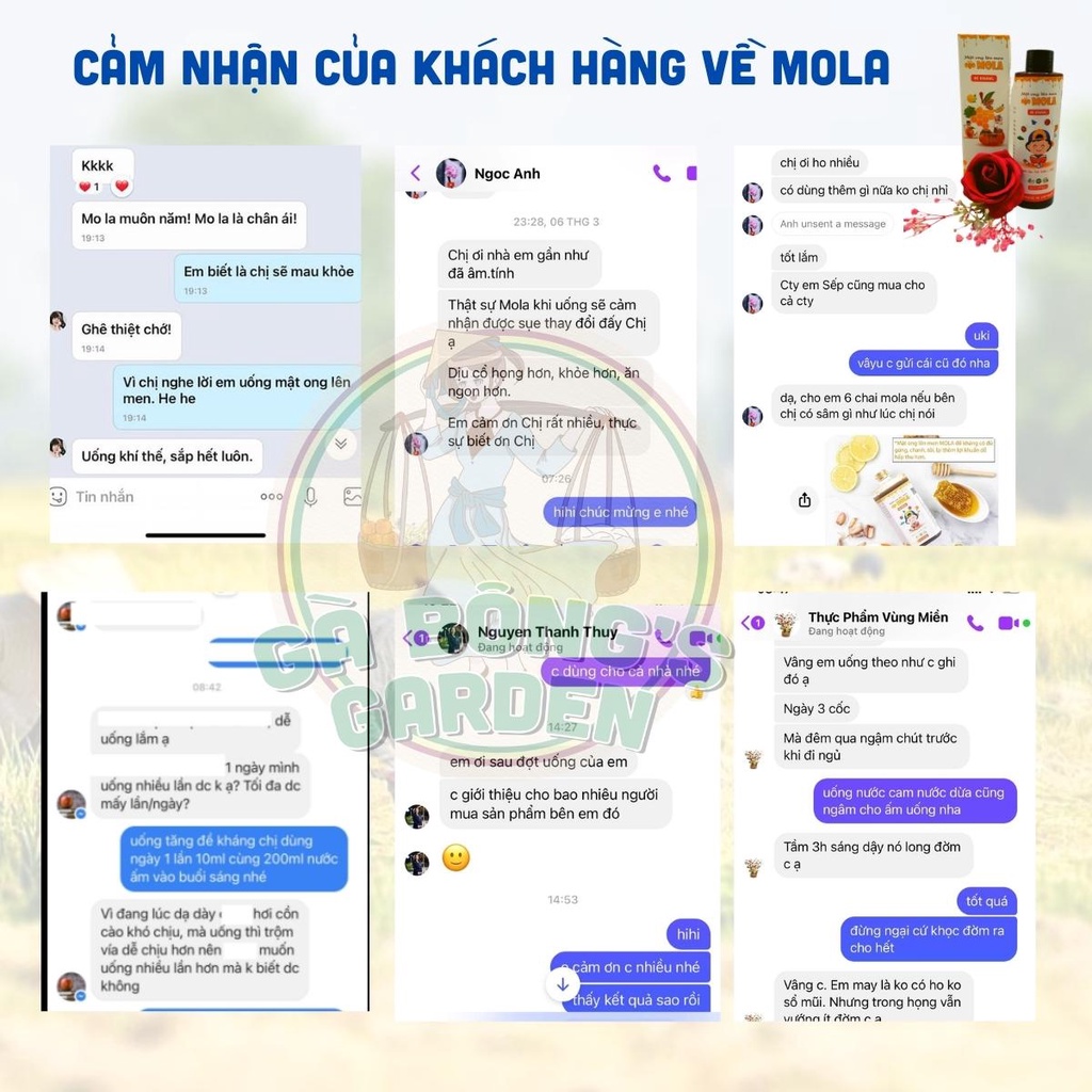 Mật Ong Lên Men Mola Chai 260gr-410gr Mật Ong Lên Men Đề Kháng Bổ Sung Lợi Khuẩn Hỗ Trợ Tiêu Hóa