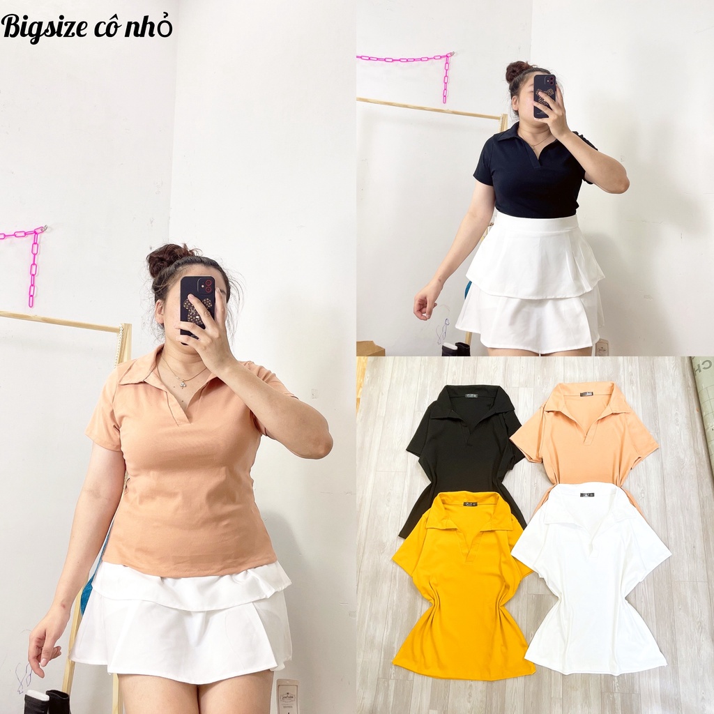 Áo Cổ Bẻ Thun Co Giãn Bigsize Cô Nhỏ,Áo Thun Polo Có Size Chuẩn Phom MÃ ACB