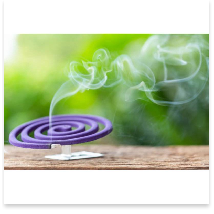 Combo 10 hộp Nhang Muỗi Raid Hương Lavender  Điện Gia Dụng Bảo Minh - Điện Gia Dụng Bảo Minh