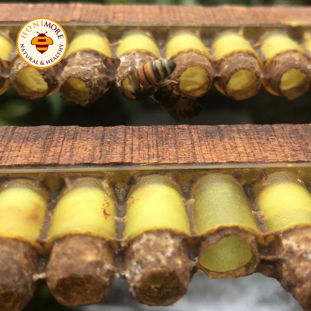 Sữa ong chúa tươi nguyên chất Honimore 300g - bồi bổ sức khoẻ, da căng mịn hồng hào