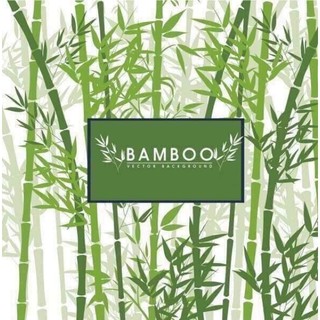 [Freeship] SET 4 BÀN CHẢI THAN TRE HOẠT TÍNH AN TOÀN MỀM MẠI 