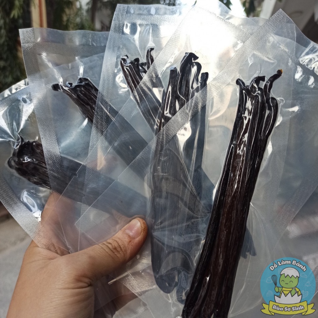 Set quả Vani Papua New Guinea