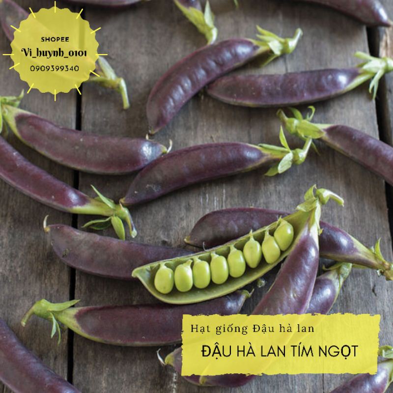 Combo hạt giống đậu hà lan ngọt ăn quả non giống hữu cơ siêu ngon, giàu dinh dưỡng và dễ trồng