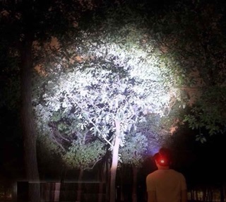 Đèn pin đội đầu 5 bóng Led siêu sáng