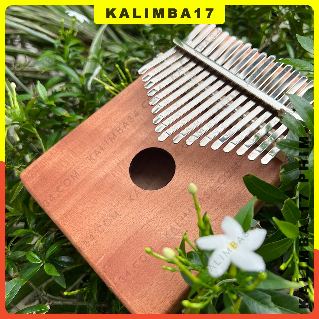Đàn Kalimba 17 Phím Hợp Cộng Hưởng Cơ Bản Cho Người Mới Bắt Đầu