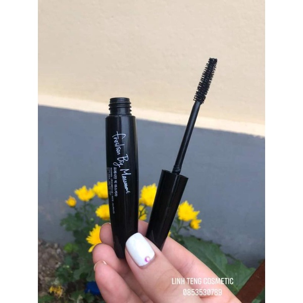 Mascara chuốt mi The Face Shop Freshian Big Mascara TFS làm dày và cong mi