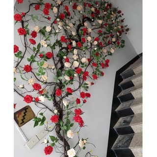 Gốc hồng cổ, gốc hoa hồng leo, dây dài 1m5, làm sự kiện, thảm cỏ nhân tạo trang trí nhà, văn phòng, nhà hàng