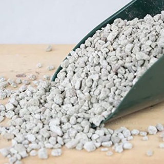 Đá bọt pumice trồng sen đá xương rồng 1kg