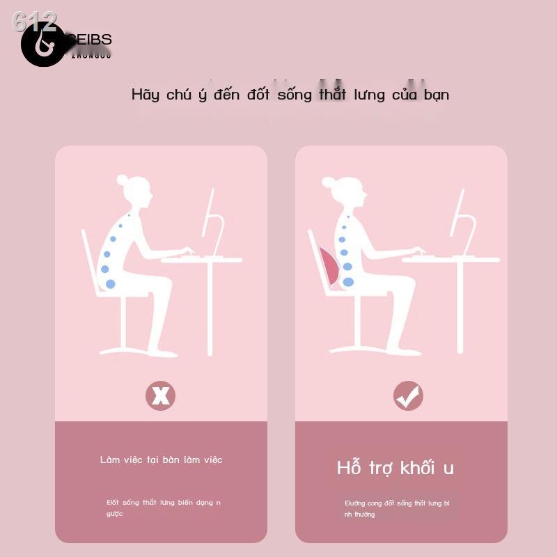 Thuốc giảm đau cột sống thắt lưng Trung Âu kéo giãnssage thư yoga điều chỉnh bài tập bổ trợ hỗ thấp