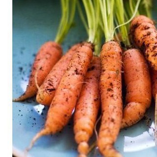 100h Hạt Giống Cà Rốt Baby TÊT SALE ĐỒNG GIÁ SHOP MỚI