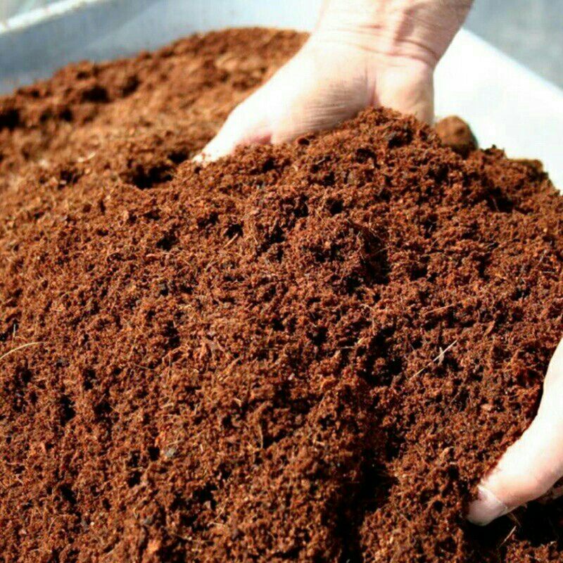Combo 6kg sơ dừa đã qua sử lý