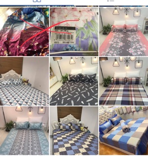 Ga gối cotton hàn quốc m6