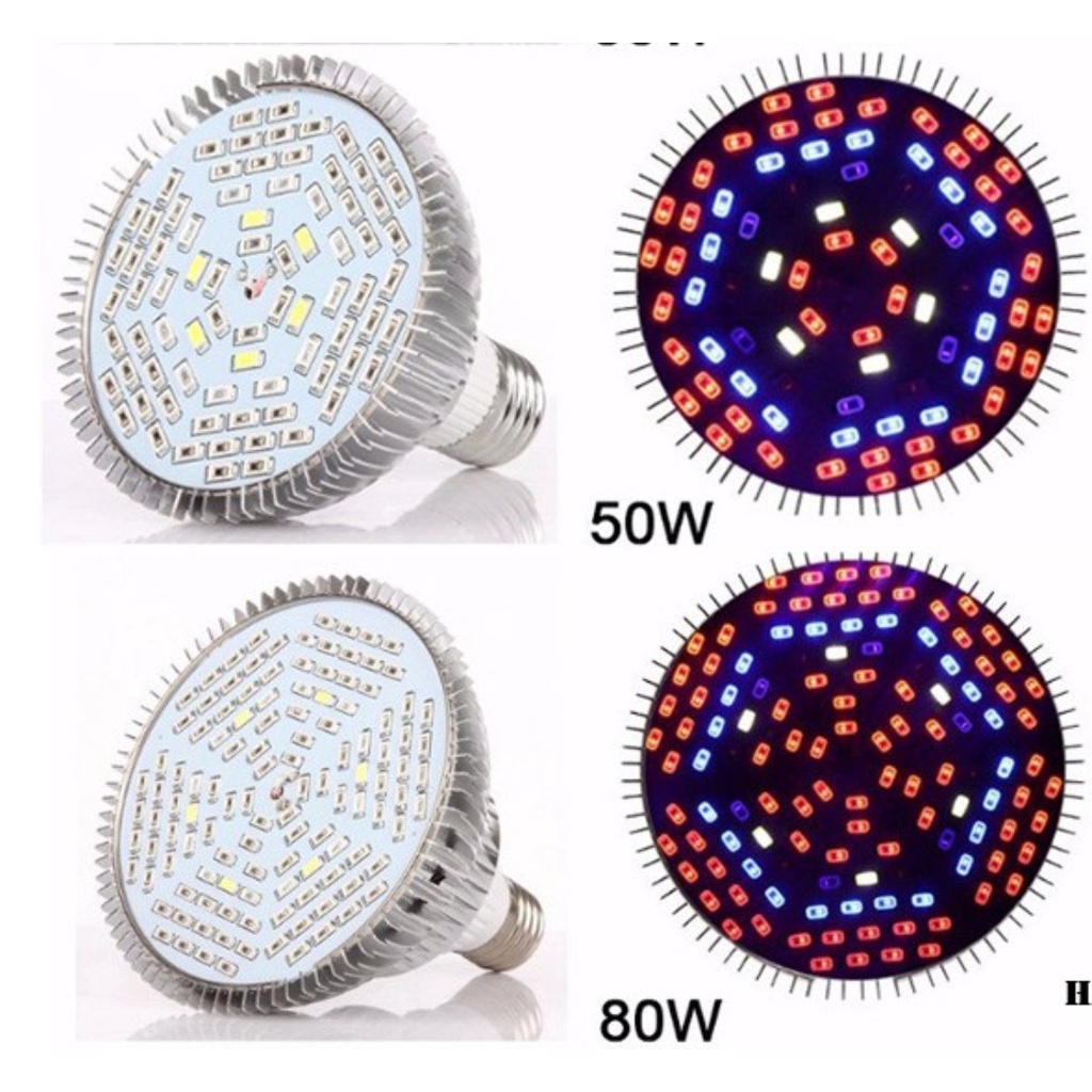 Đèn Led bóng tròn 50-80w chuyên dụng cho cây trồng