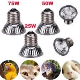 Set 3 bóng uva uvb 3.0 sưởi cho thú cưng