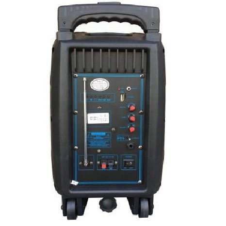 Loa kéo Bluetooth Temeisheng A25  2 micro