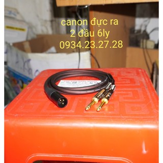 Dây canon Đực ra 2 đầu 6ly dài 2m