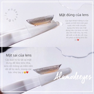 Lens xám chấm
