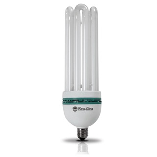 Bóng compact 4U 50W rạng đông 