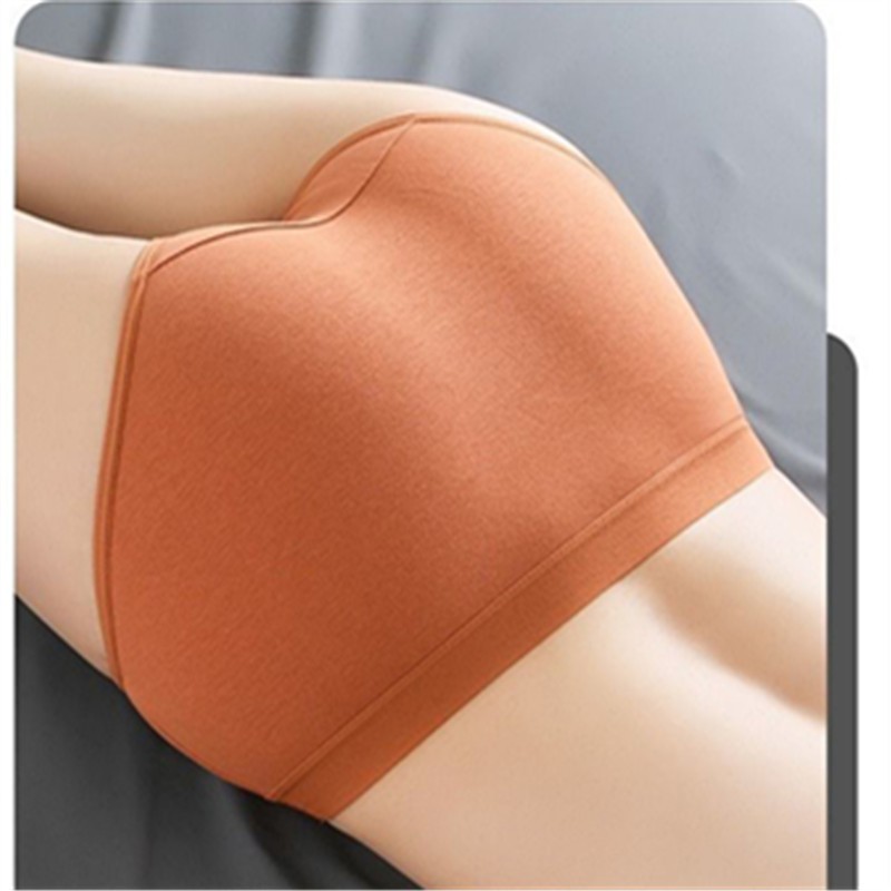 Quần Lót Cotton Không Đường May Thoáng Khí Chất Lượng Cao THời Trang Đơn Giản Cho Nữ