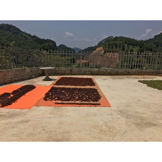 HOA HỒI KHÔ LẠNG SƠN LOẠI 1