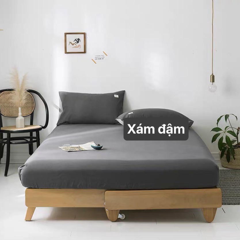 Bộ Ga Giường Và 2 Vỏ Gối Cotton Cao Cấp Đủ Kích Thước Trải Nệm 1m4, 1m6, 1m8 CHƯA GỒM CHĂN - KiMi Decor