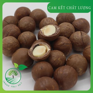 Hạt macca sấy Đắk Lắk loại cao cấp ( có dụng cụ tách hạt kèm theo).