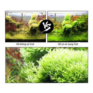 Viên Sủi CO2 60 viên