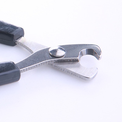 Kéo cắt móng cho hamster , thỏ , bọ , sóc