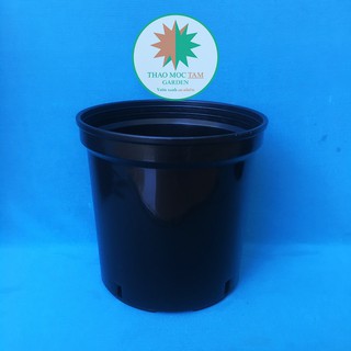 Chậu nhựa cứng 18x16cm (Đen bóng) – Chậu dày thích hơp trồng hoa hồng, Lan kiếm, cây hoa kiểng