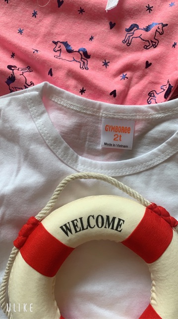 Quần áo trẻ em - Quần Alibaba và áo croptop cho bé gái