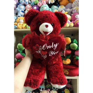 Gấu bông Teddy