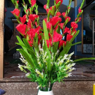 Hoa dơn lụa