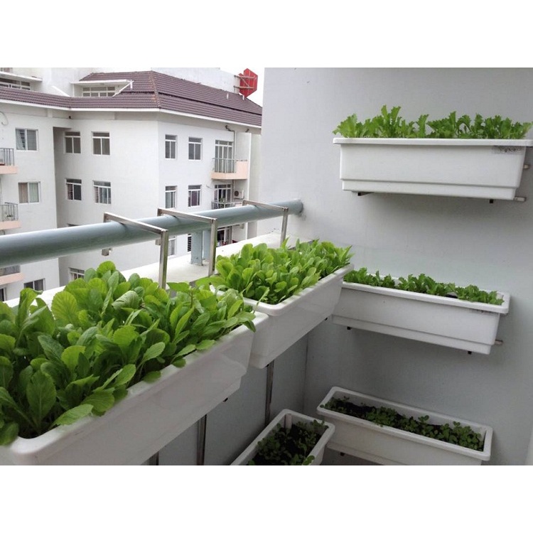 Chậu trồng cây TH Garden - Trồng rau, hoa chưa có giá sắt treo