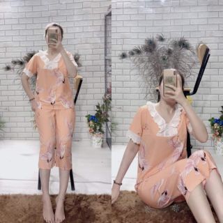 Tiểu thư lửng lụa hàn