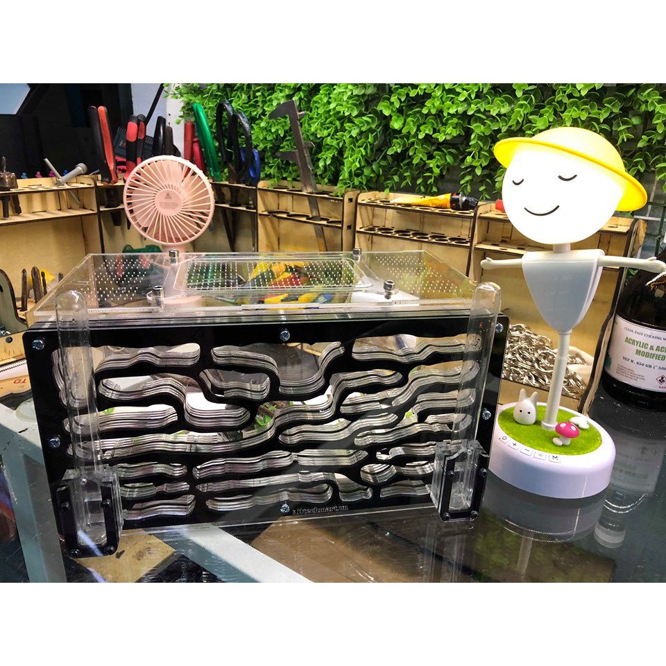 Formicarium / Tổ nuôi kiến / hộp nuôi kiến 30-15-15cm