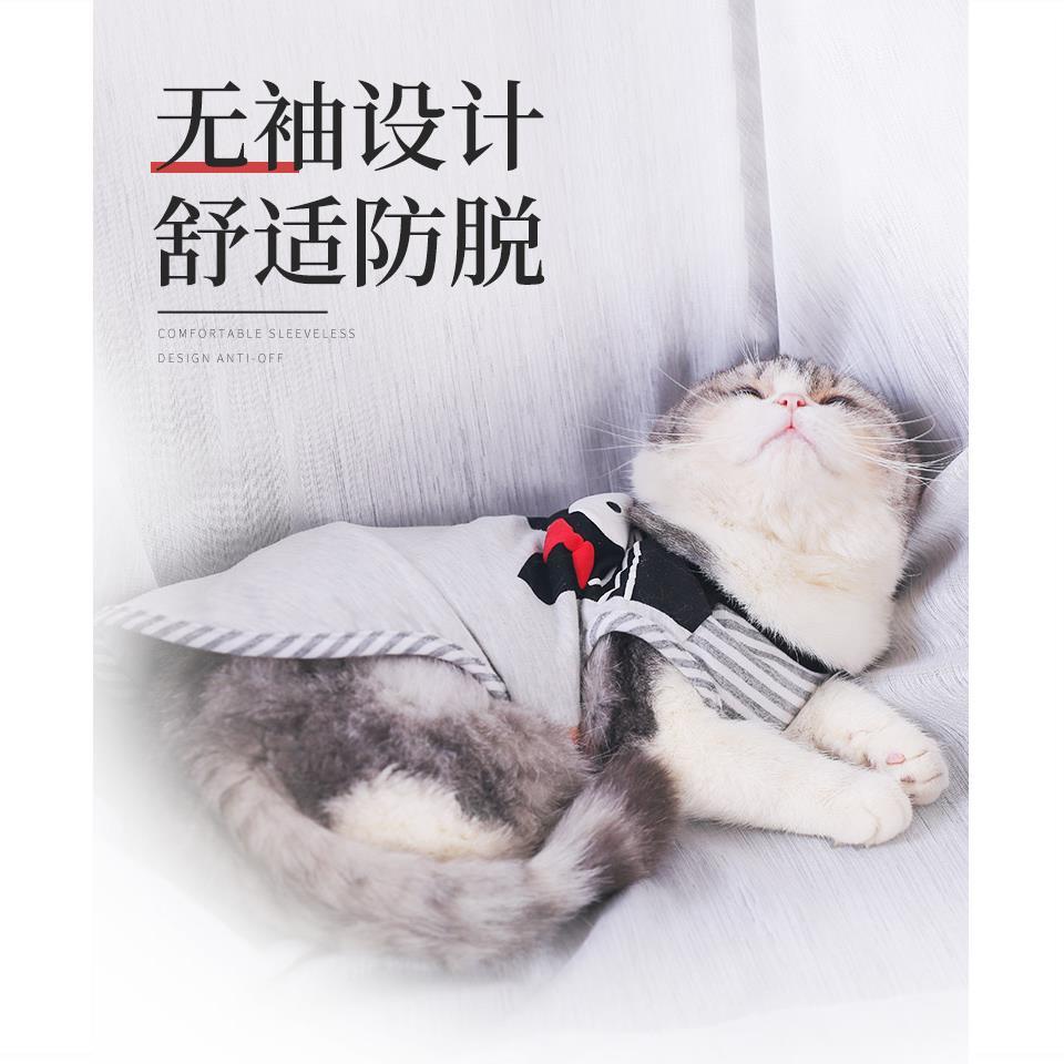 quần áo mèo mùa hè British short blue cat pet kitten thin vest kitty không tay chống rụng lông