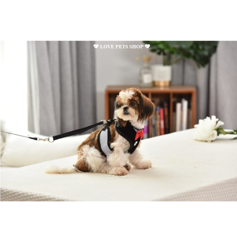 Bộ dây dắt cho Chó Mèo kèm yếm có nơ dễ thương - Love Pets Shop