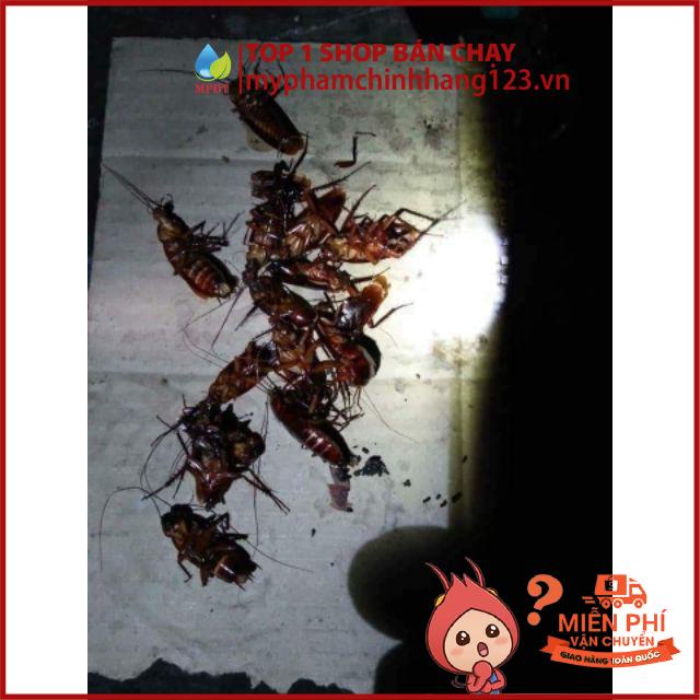 (KHÔNG HIỆU QUẢ TRẢ LẠI TIỀN).Thuốc diệt kiến gián côn trùng sinh học thần thánh đây a .
