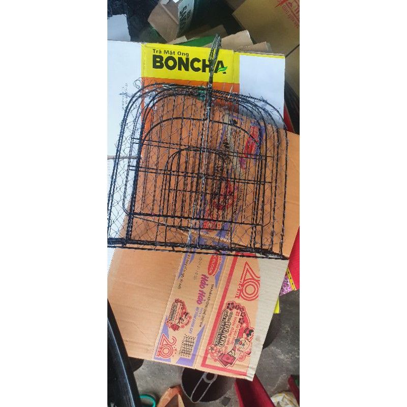 Mẹt Treo Bìm Bịp, Quốc Chuyên Đánh Mồi Nhái, Mồi Chuột