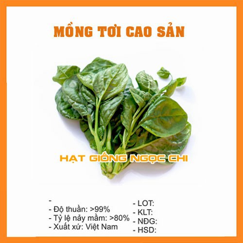 Hạt Giống Rau Mồng Tơi Cao Sản - 20Gr