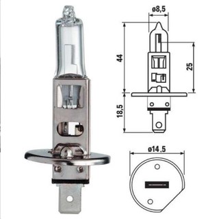 Bóng đèn Halogen Bosch H1 12V 55W cao cấp
