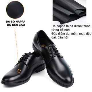 Giày nam Derby công sở da bò nappa mũi nhọn G113 Bụi leather hộp sang trọng -Bảo hành 12 tháng