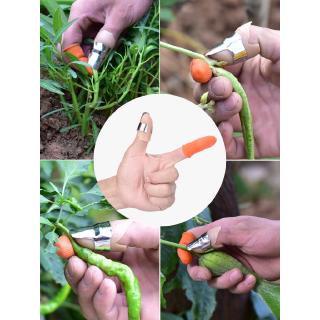 Ngón tay thép dùng nhặt rau củ quả, trái cây tiện lợi